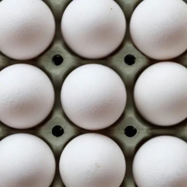Ferske kvite egg i brett, sett ovanfr&aring;